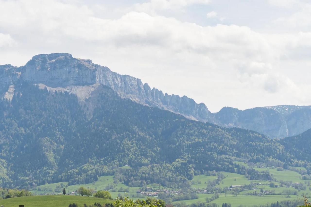 Villa Cote Des Vignes I Annecy 15' X Geneve 30' Charvonnex Zewnętrze zdjęcie